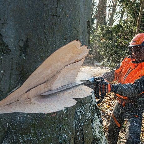 MOTOSEGA STIHL MS 661 C-M